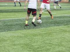 湖南明星遍,布娱乐圈,占据半壁江,熊猫体育平台,熊猫体育官方网站,熊猫体育登录入口,熊猫体育app下载