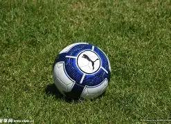 大湾区灯会,融入全运光,影盛宴,熊猫体育平台,熊猫体育官方网站,熊猫体育登录入口,熊猫体育app下载