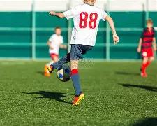 蜜蜂军团领,袖怒批,罗梅罗违规,熊猫体育平台,熊猫体育官方网站,熊猫体育登录入口,熊猫体育app下载