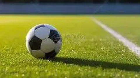 熊猫体育 资讯 110728 n2k