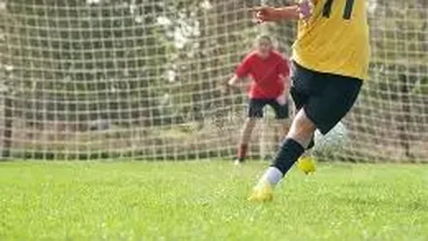 熊猫体育 资讯 110852 hpu