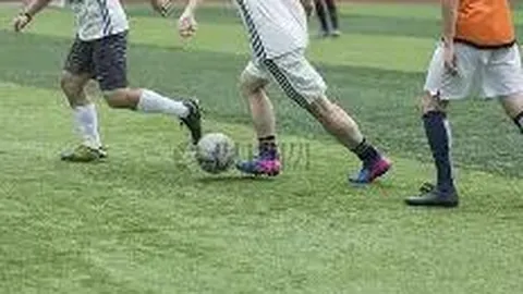 熊猫体育 产品 110846 wty